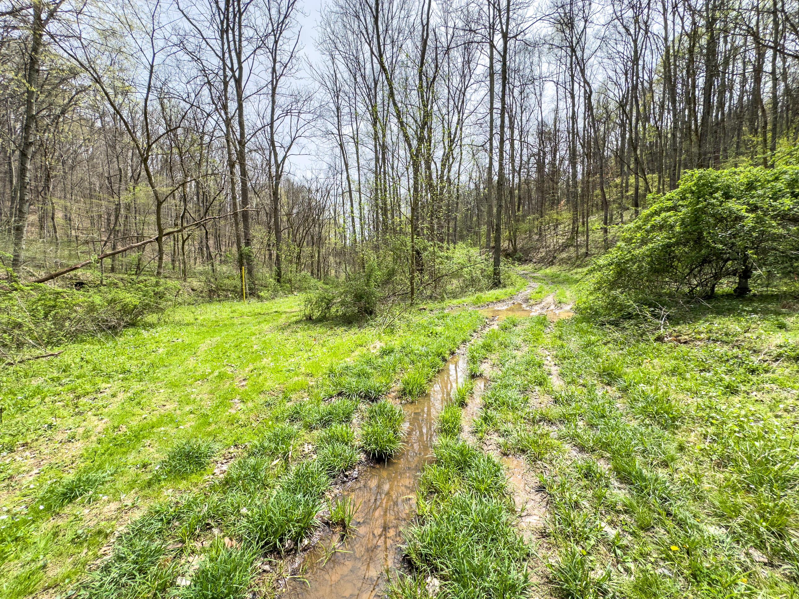 34108 Edwina Road, Lewisville, Ohio image 28