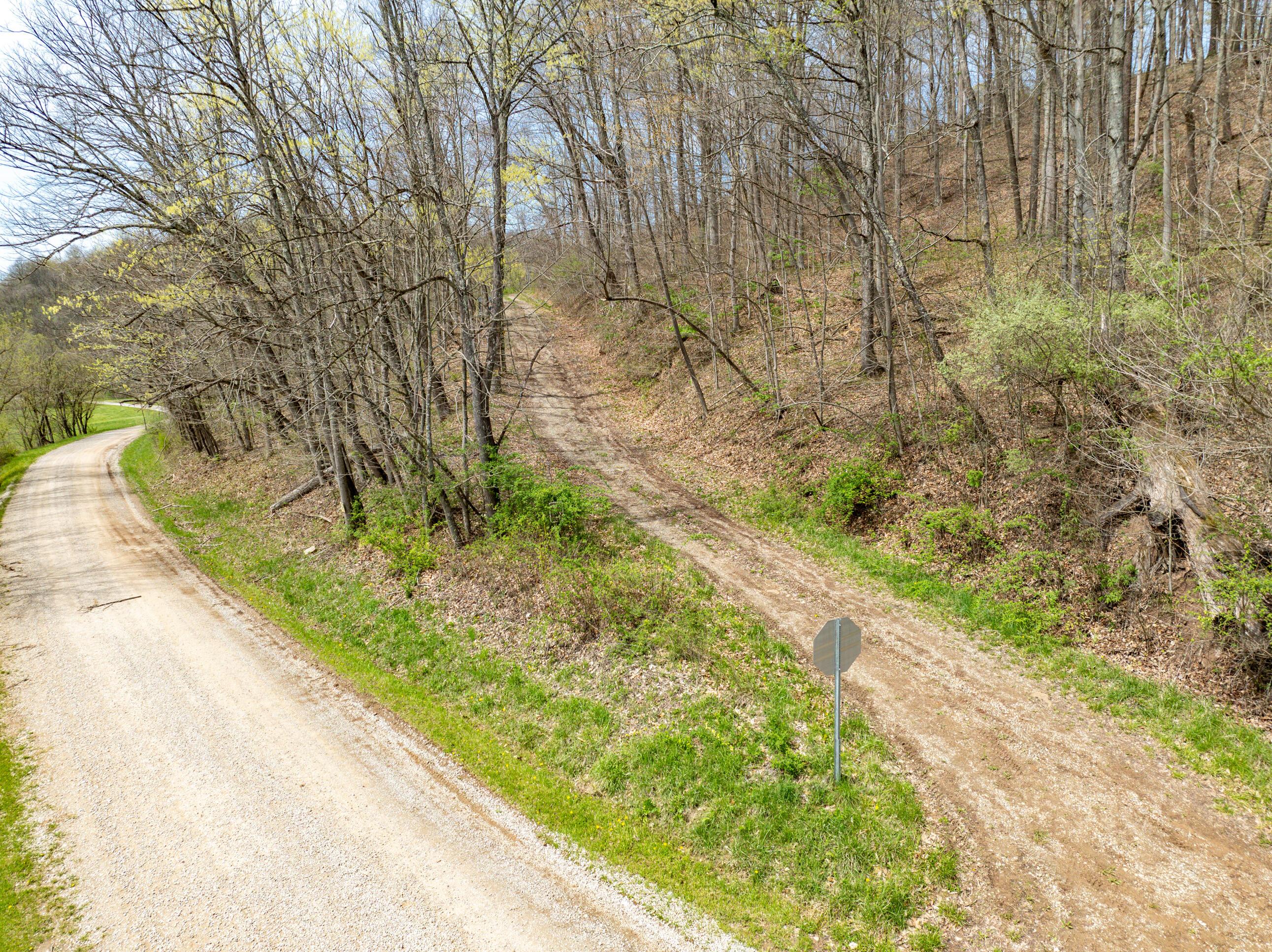 34108 Edwina Road, Lewisville, Ohio image 3