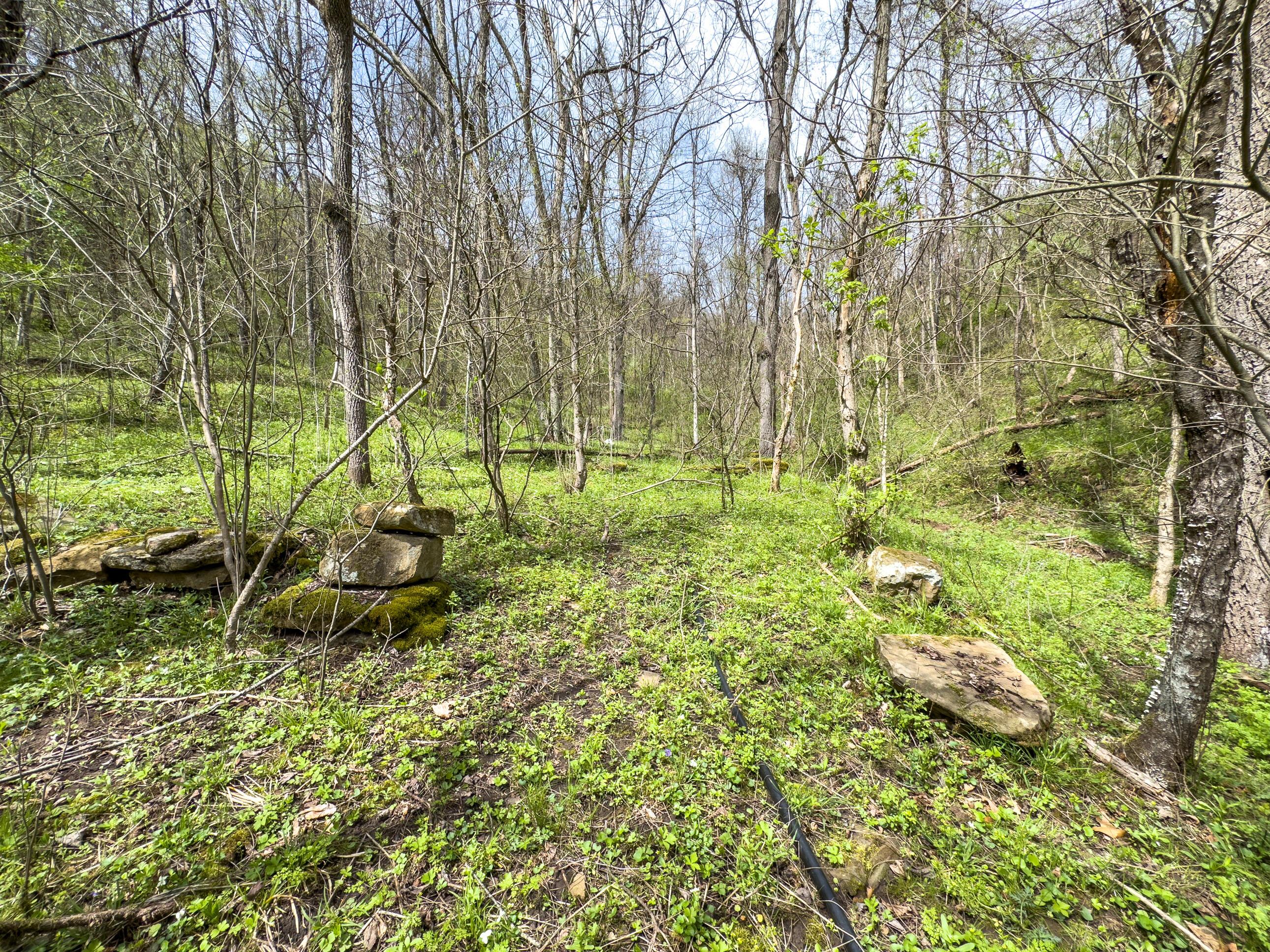 34108 Edwina Road, Lewisville, Ohio image 45