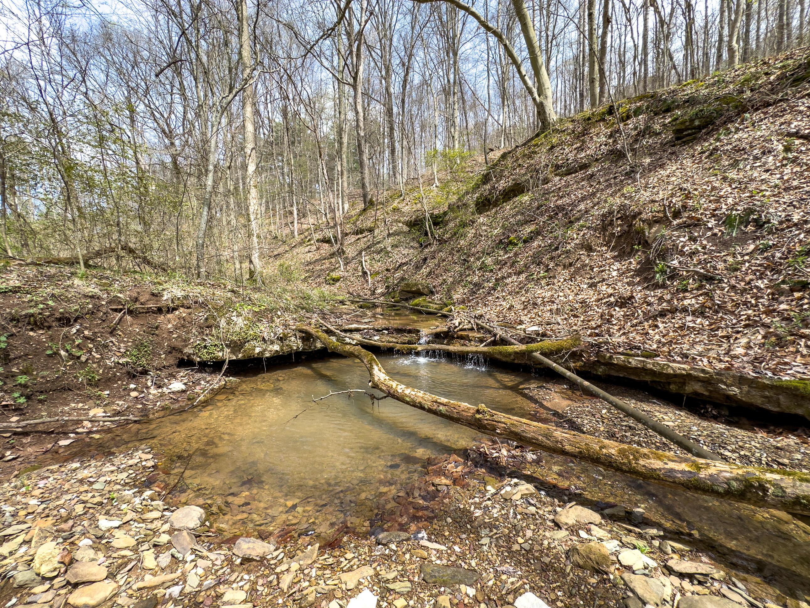 34108 Edwina Road, Lewisville, Ohio image 37