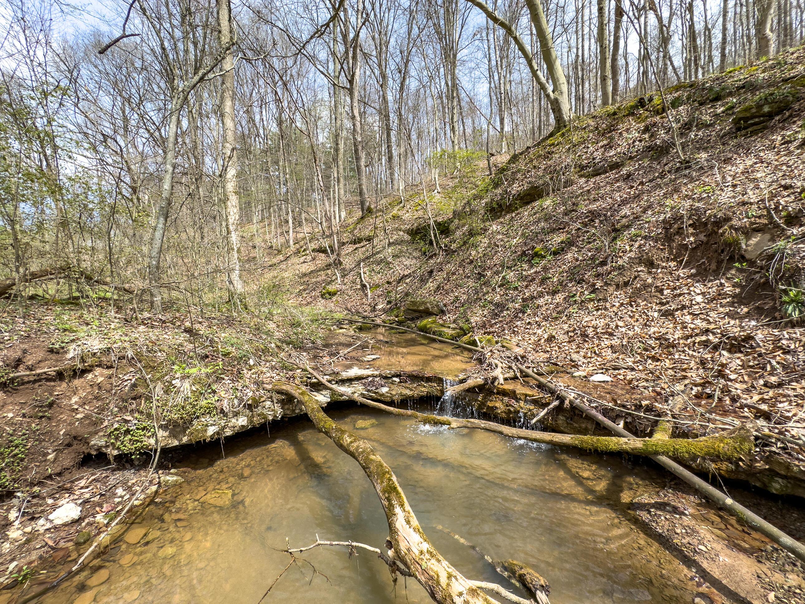 34108 Edwina Road, Lewisville, Ohio image 38