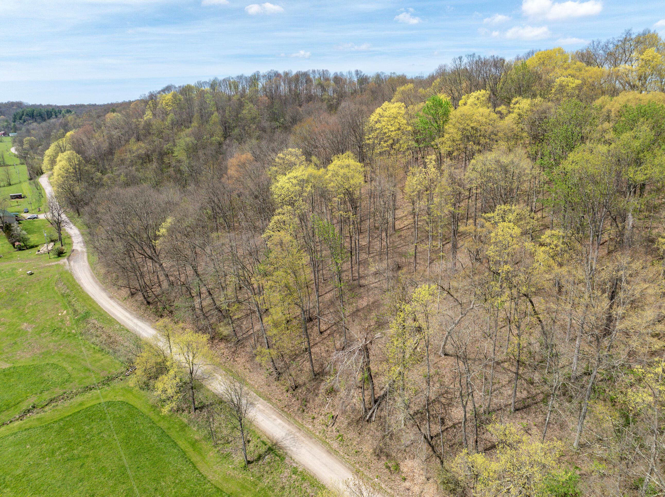34108 Edwina Road, Lewisville, Ohio image 6