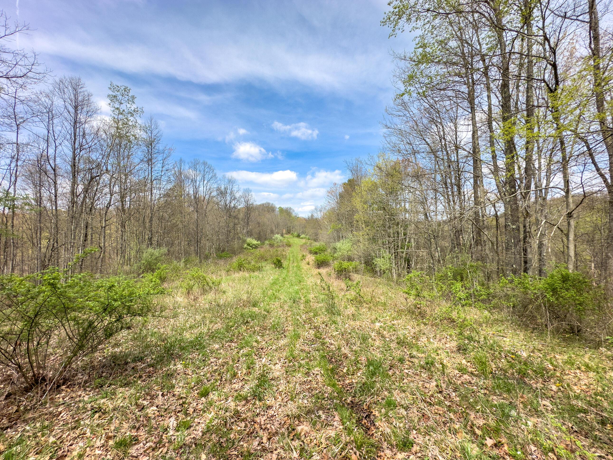 34108 Edwina Road, Lewisville, Ohio image 17