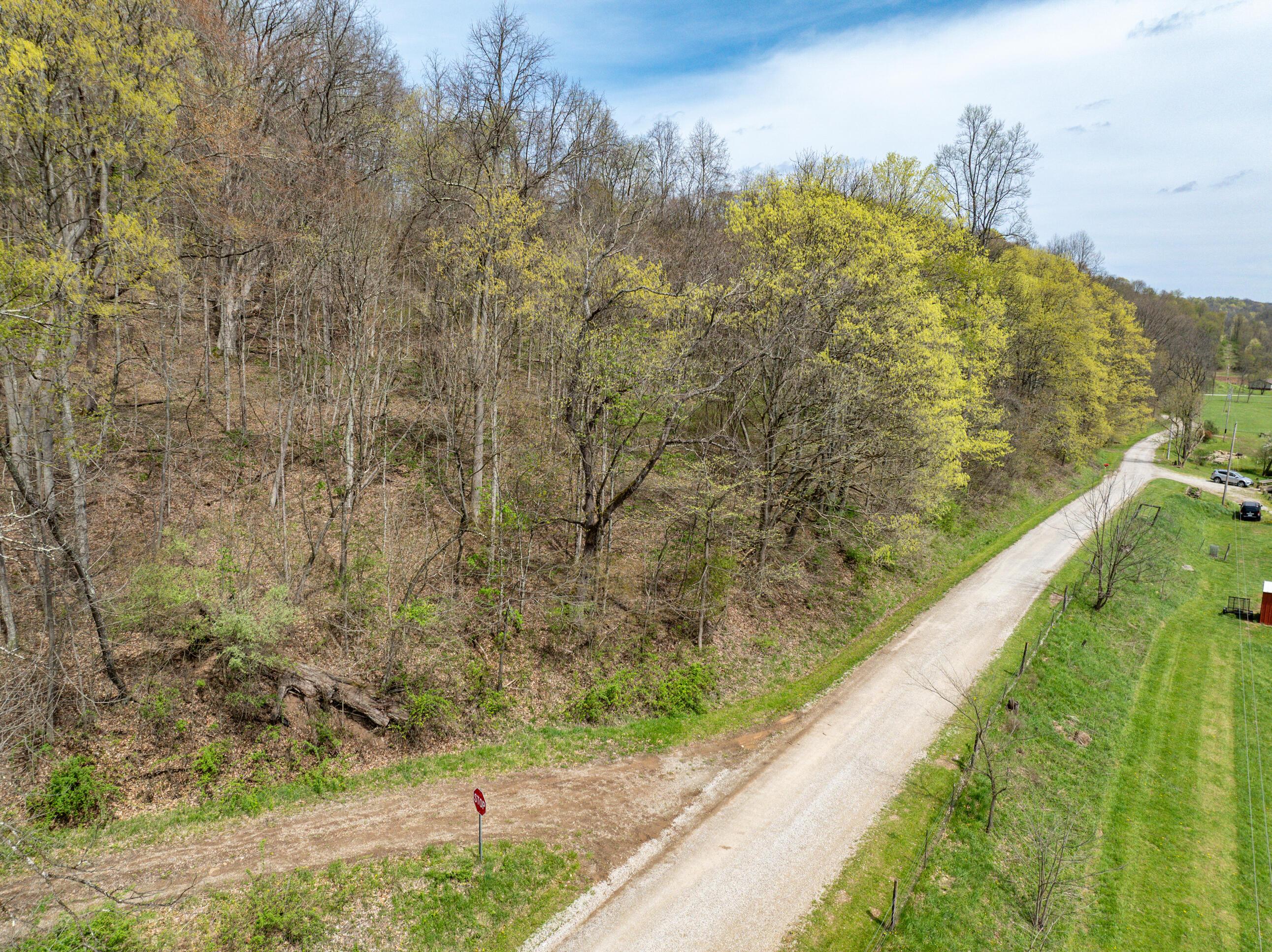 34108 Edwina Road, Lewisville, Ohio image 2