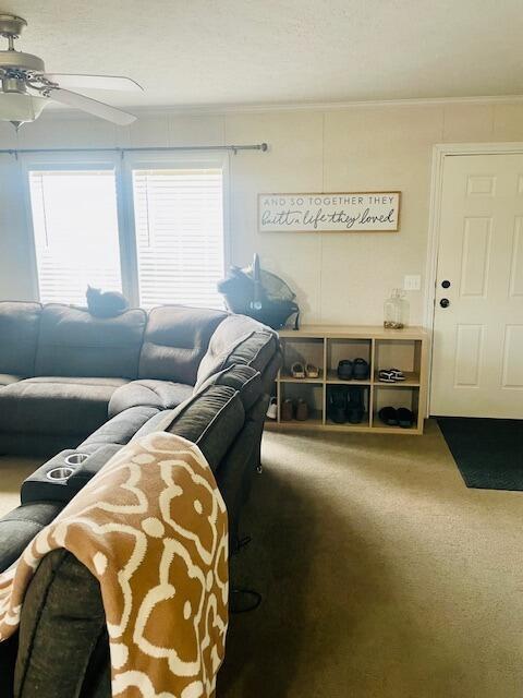 Tiny photo for 6685 Township Rd 14, Mount Gilead, OH 43338 (MLS # 226025501)