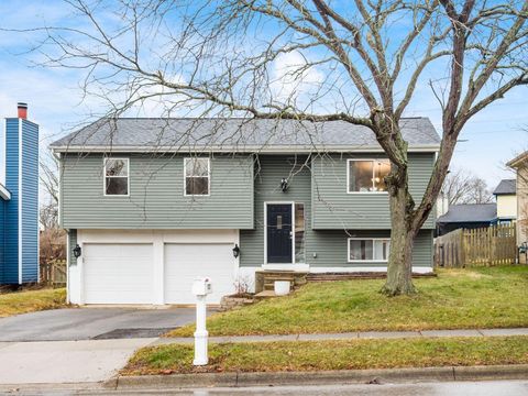 Photo of 5232 Freedom Ridge Drive, Columbus, OH 43230 (MLS # 226004722)