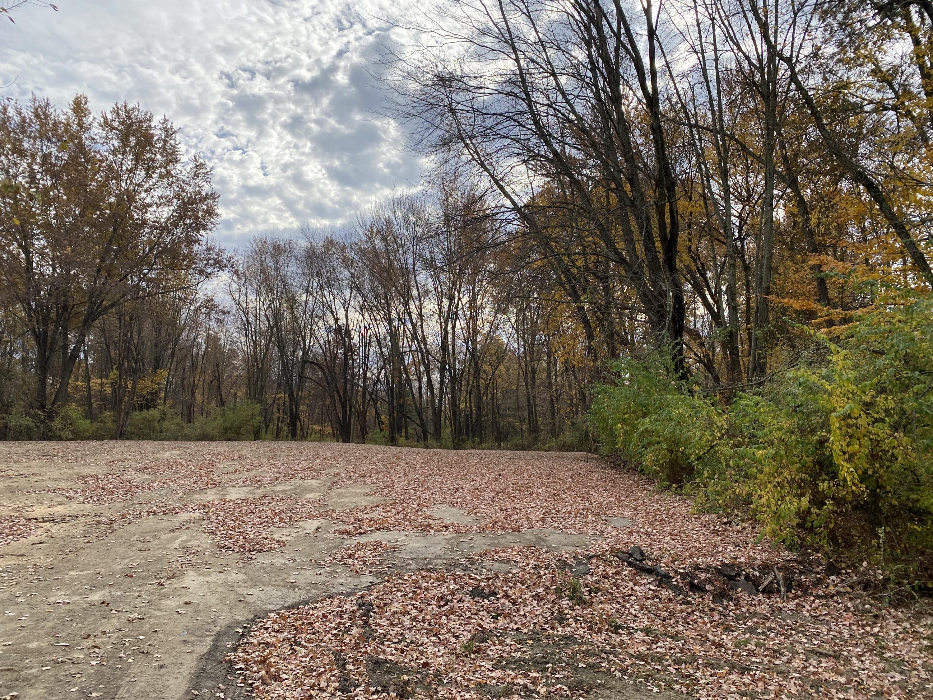 Photo 8 of 8 of 7989 Clouse Road land