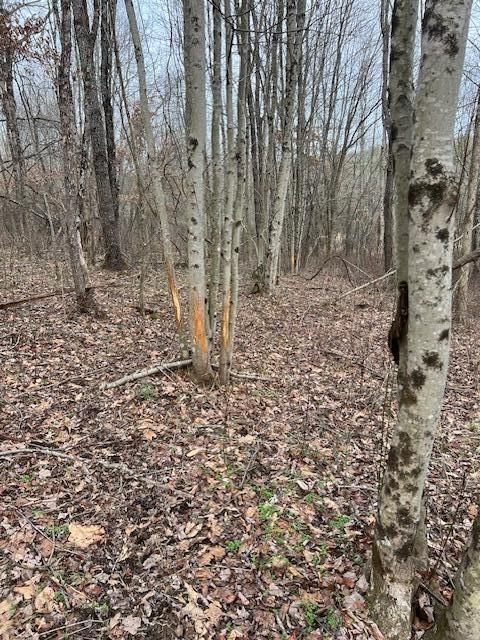 0 County Road 80 Coshocton OH 43812