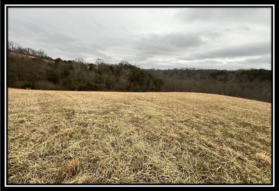 1440 Glade Run Road #TRACT 1, Wellston, Ohio image 7
