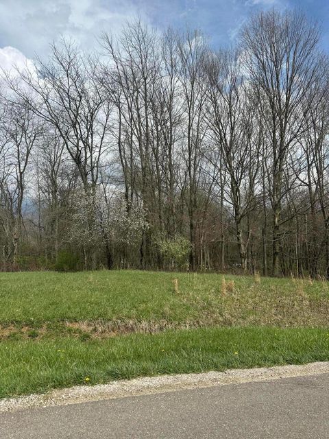 Photo of 7326 State Route 19 9 Lot 74 #9 Lot 74, Mount Gilead, OH 43338 (MLS # 226012263)