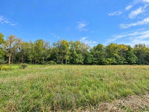 Vacant Land For Sale - Colgin Road #08-00795.000<br/> Knox County, Howard, OH 43028