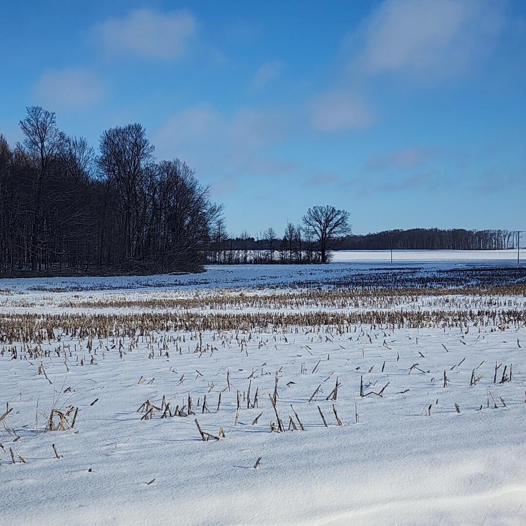 Knorr Road #PARCEL 3, Galion, Ohio image 7