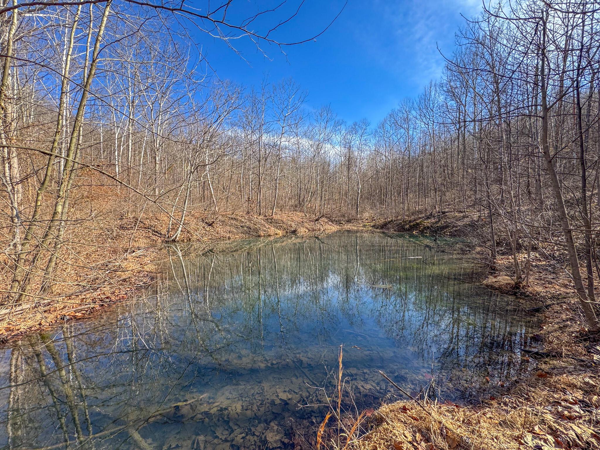 Williams Hollow Road, Gallipolis, Ohio image 10