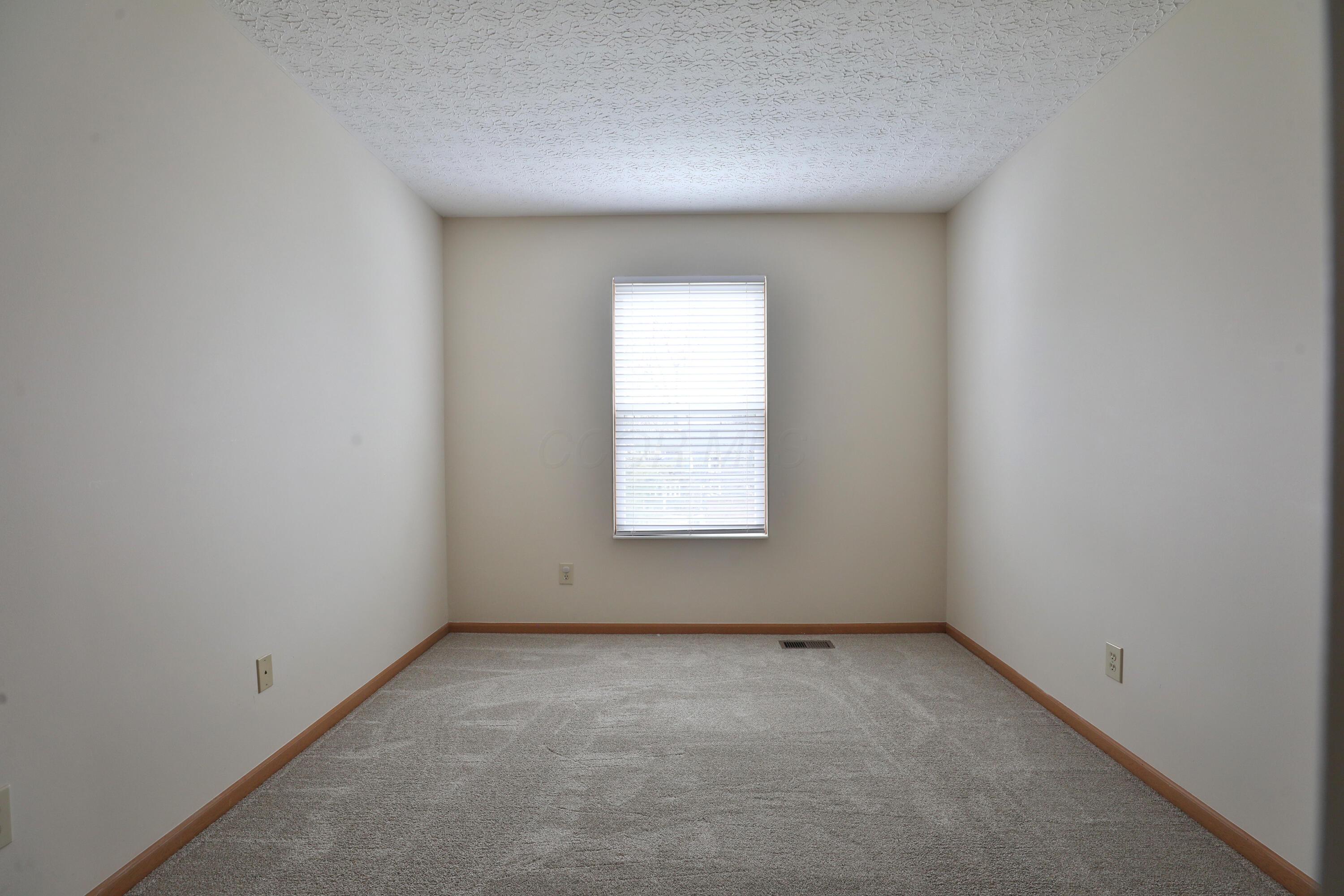 4207 Asbury Ridge Drive, Columbus, Ohio image 22