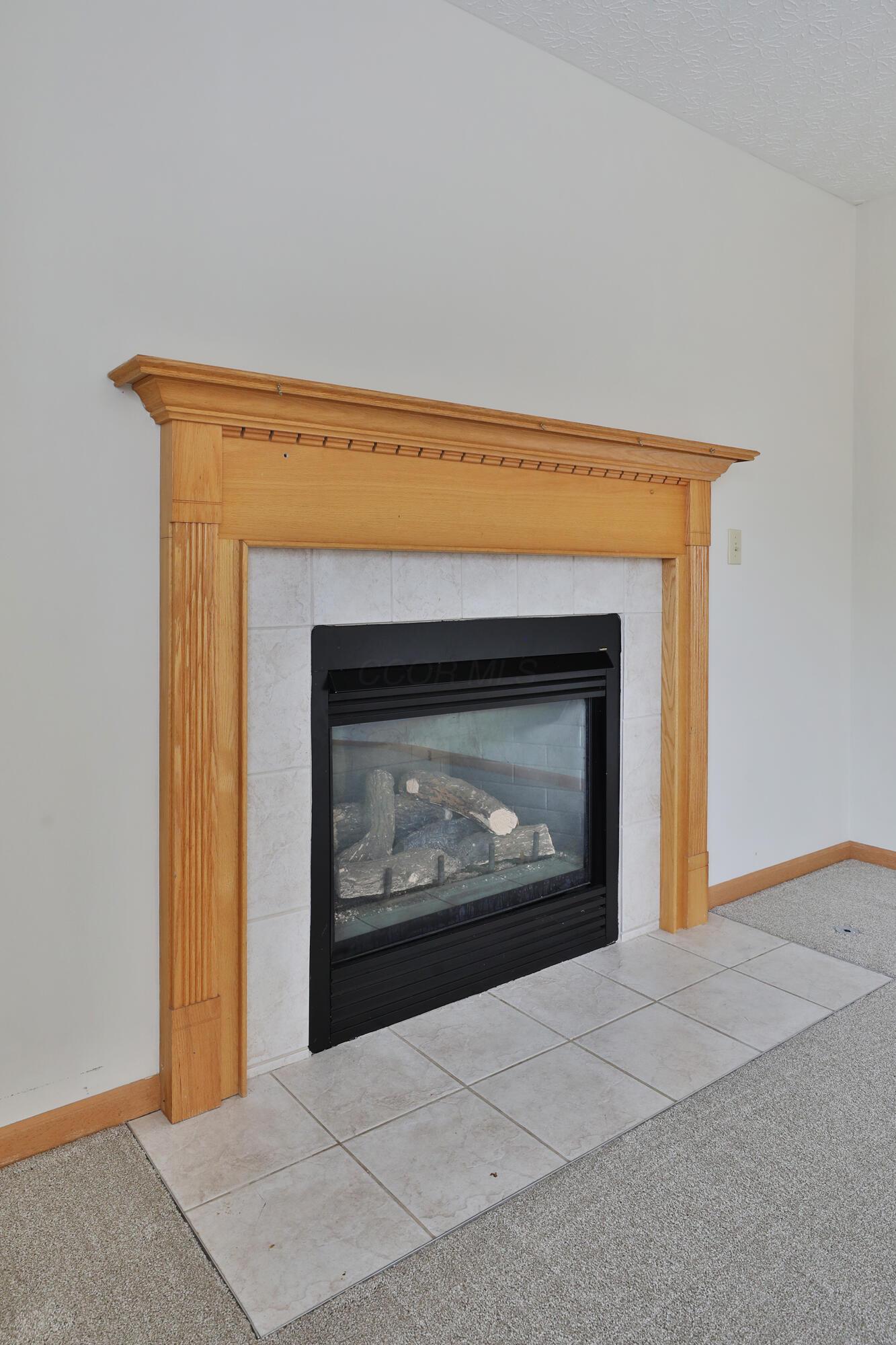 4207 Asbury Ridge Drive, Columbus, Ohio image 17