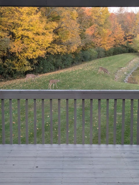 Tiny photo for 1525 Cole Road, Columbus, OH 43228 (MLS # 226022775)