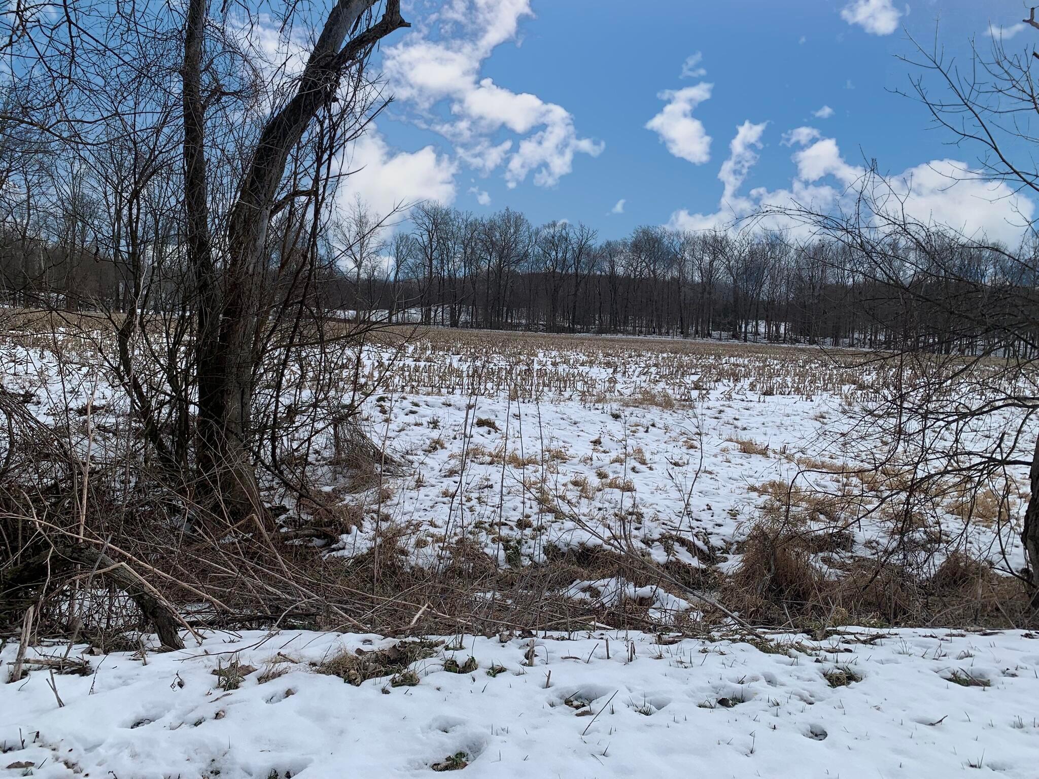 Columbus Road, Mount Vernon, Ohio image 15