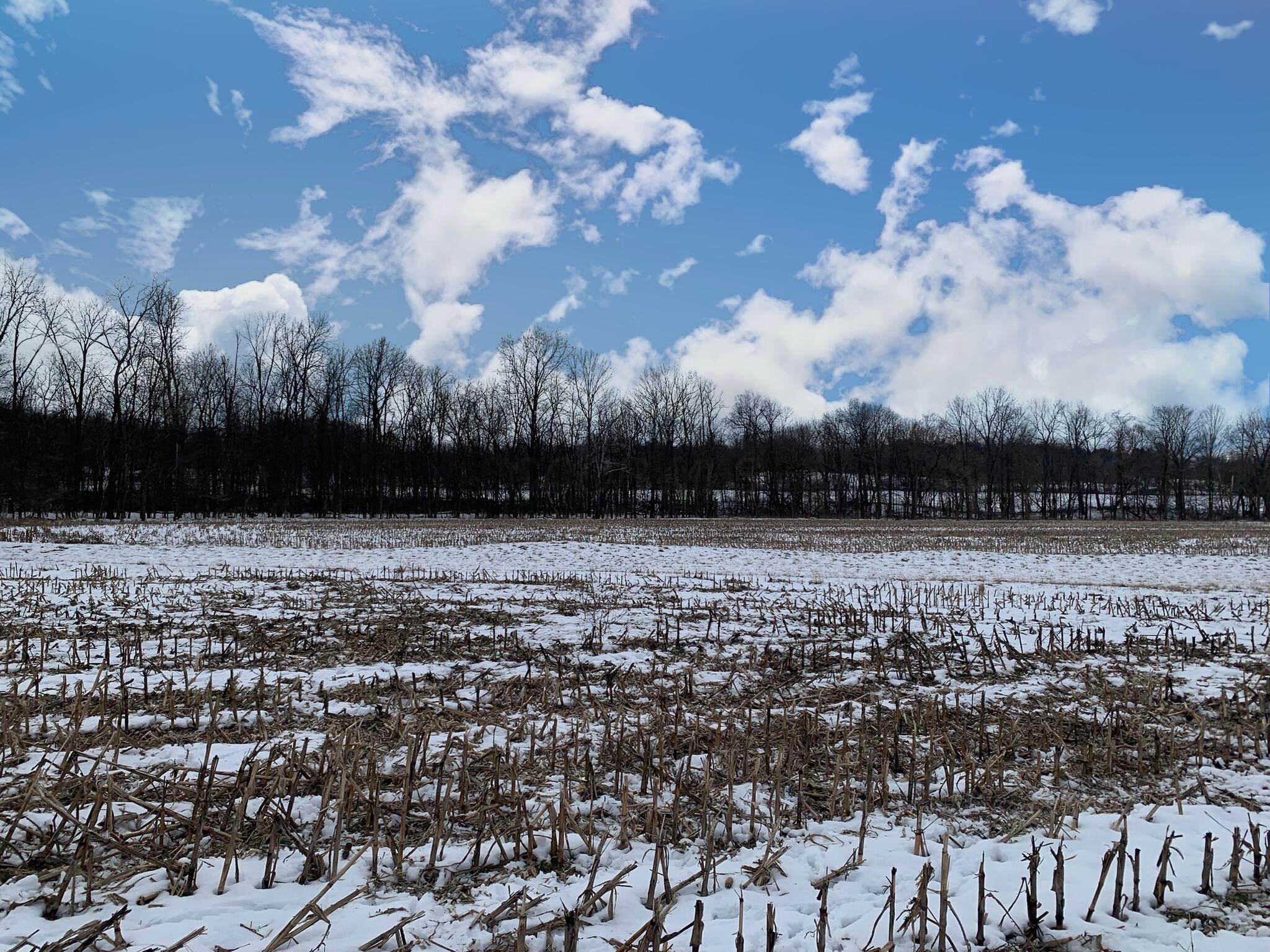 Columbus Road, Mount Vernon, Ohio image 16