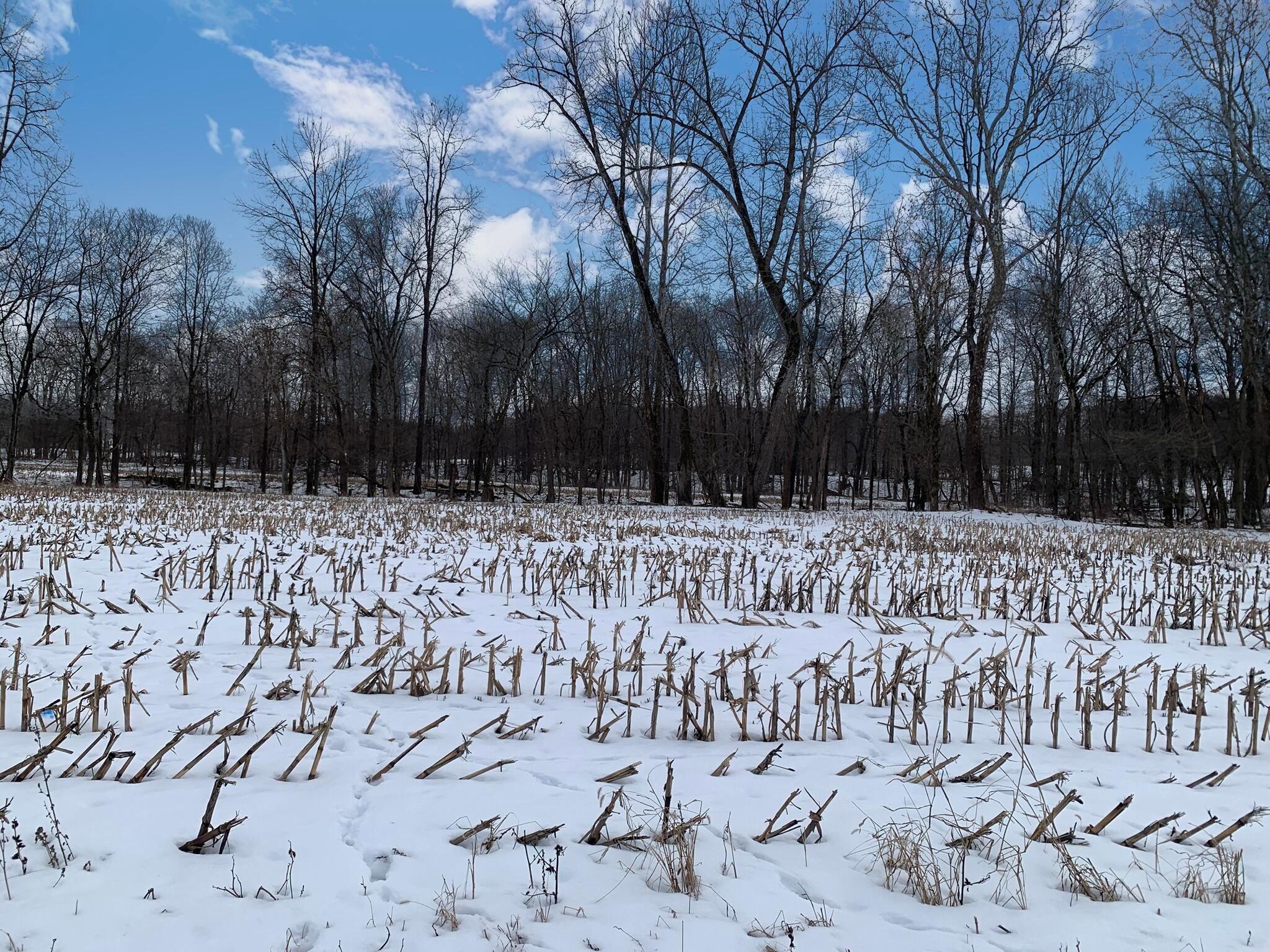 Columbus Road, Mount Vernon, Ohio image 13