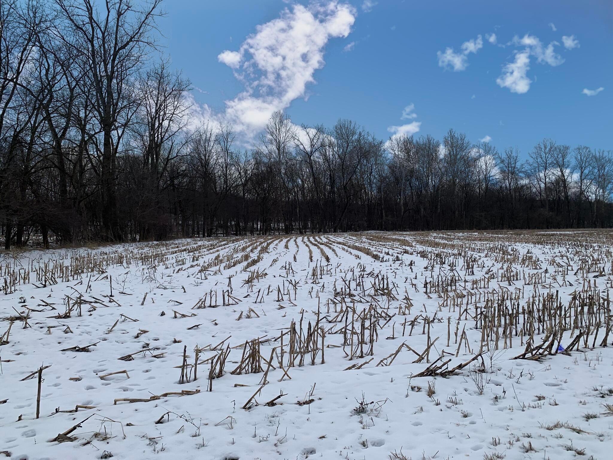Columbus Road, Mount Vernon, Ohio image 11