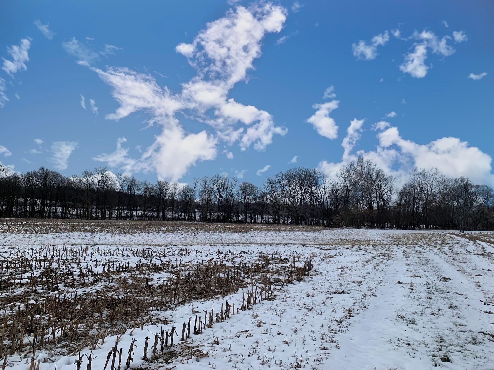 Columbus Road, Mount Vernon, Ohio image 20