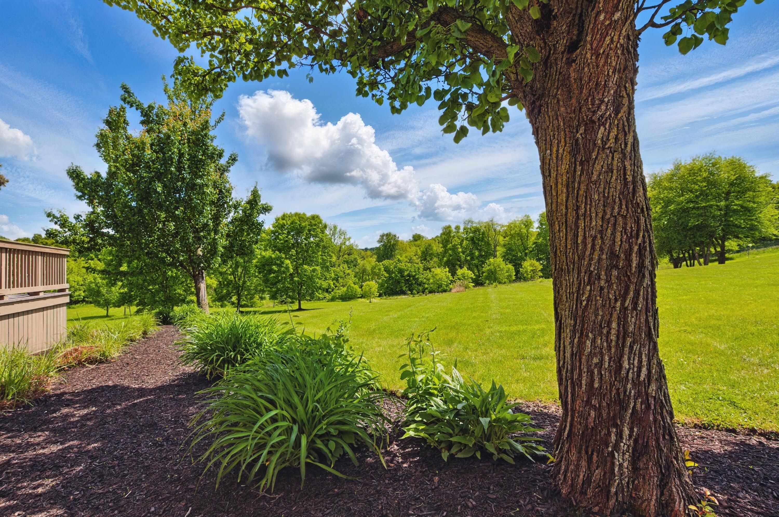 3545 Willow Hill Road, Mansfield, Ohio image 48