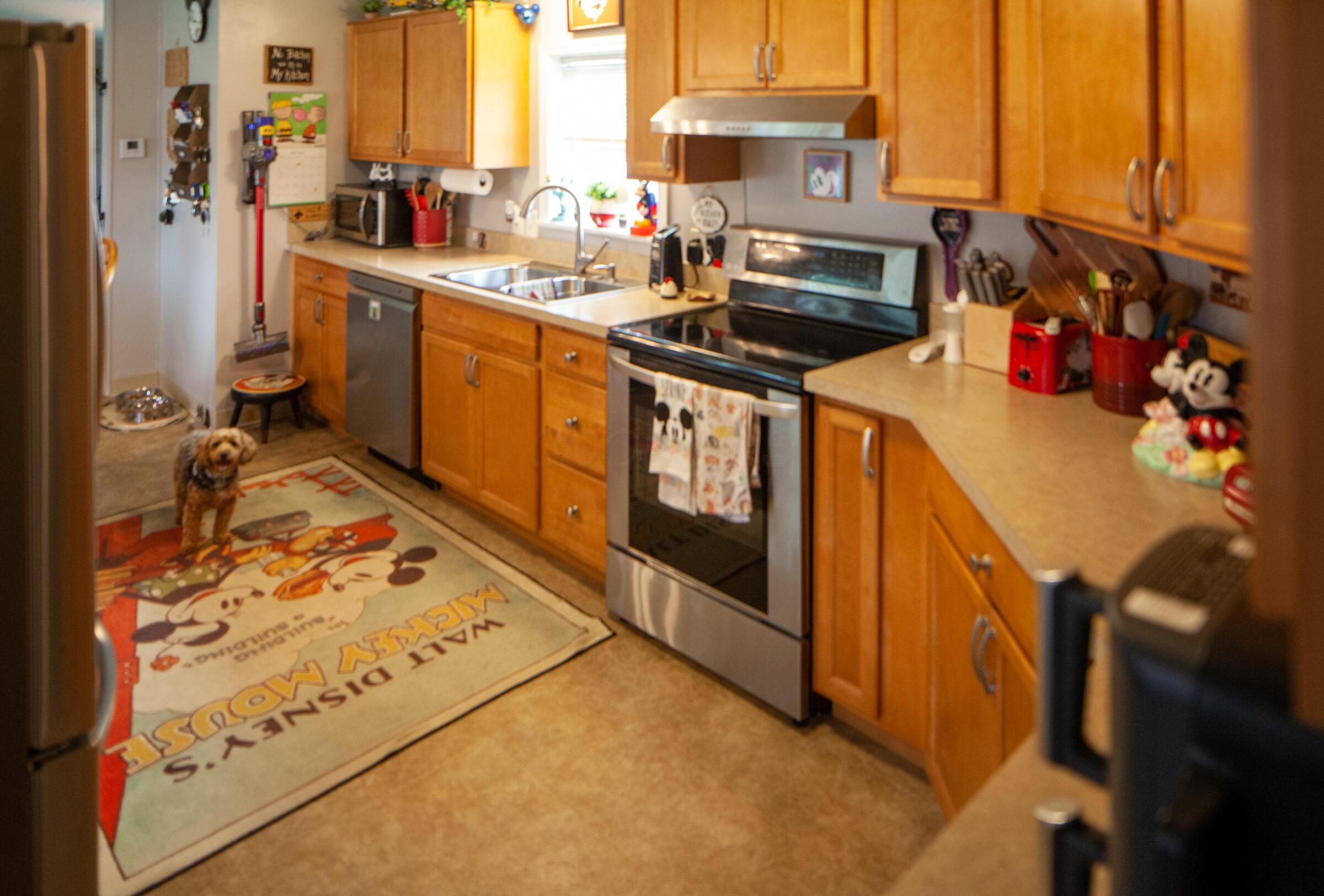25 Ravine Ridge Drive Drive, Delaware, Ohio image 12