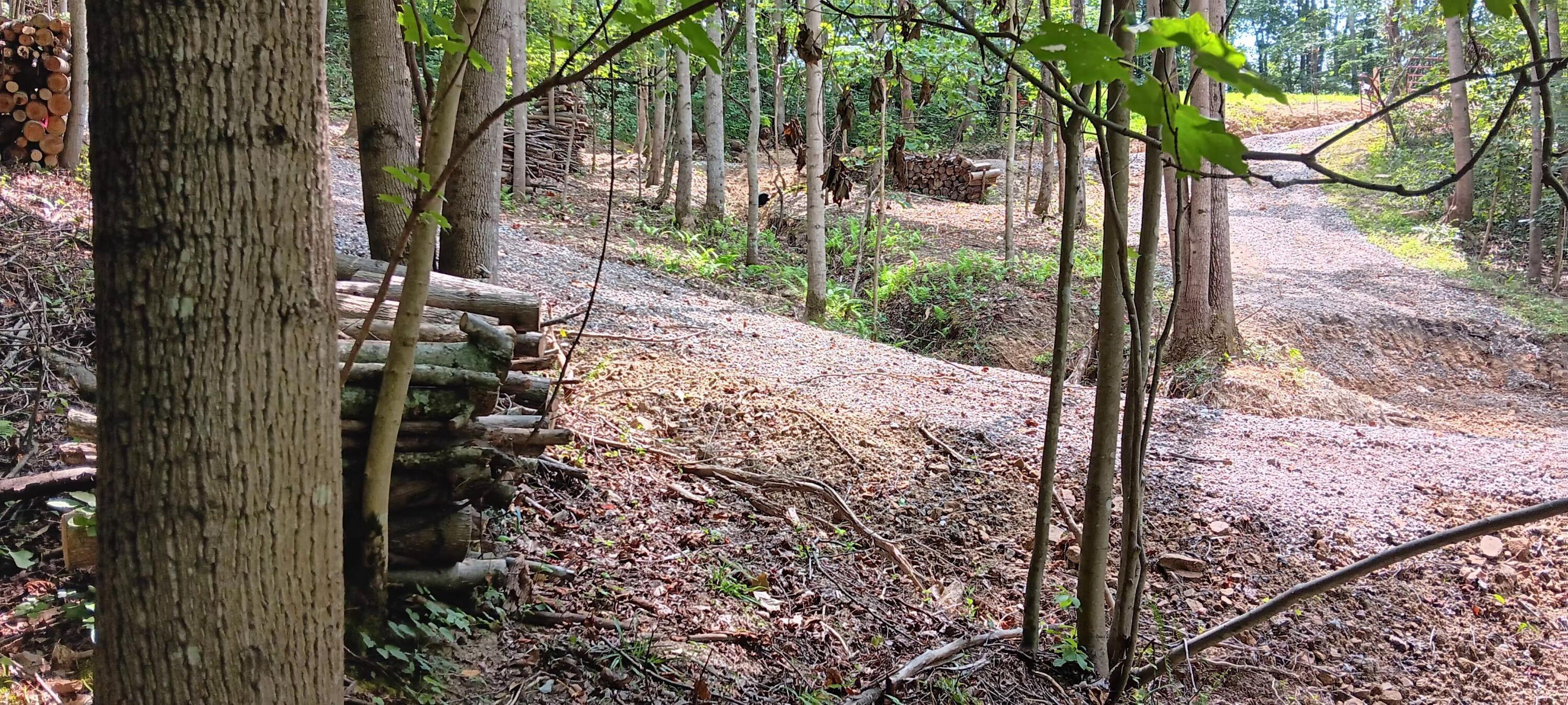 Orpheus Keystone Road #TRACT 5 CAVES AT KEYSTON, Jackson, Ohio image 31