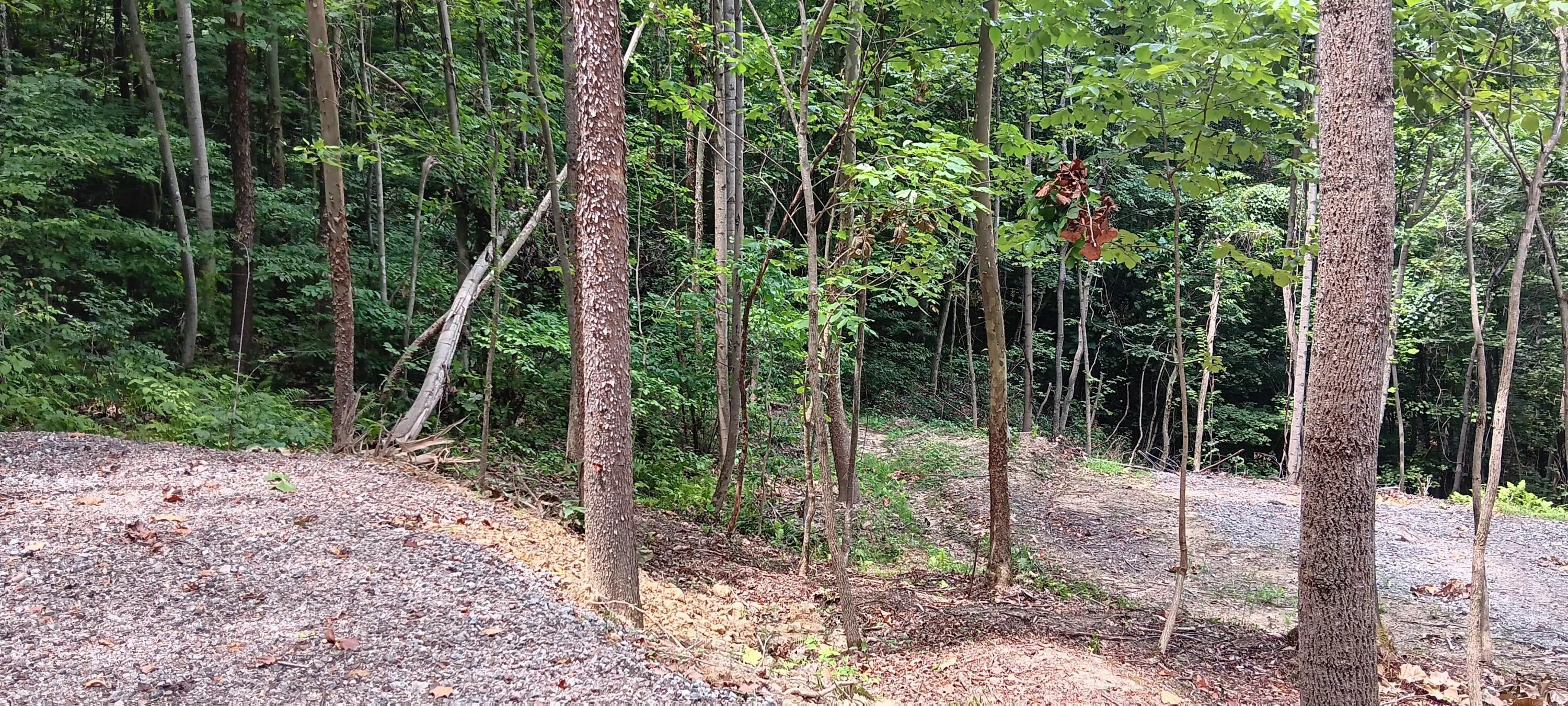 Orpheus Keystone Road #TRACT 5 CAVES AT KEYSTON, Jackson, Ohio image 8
