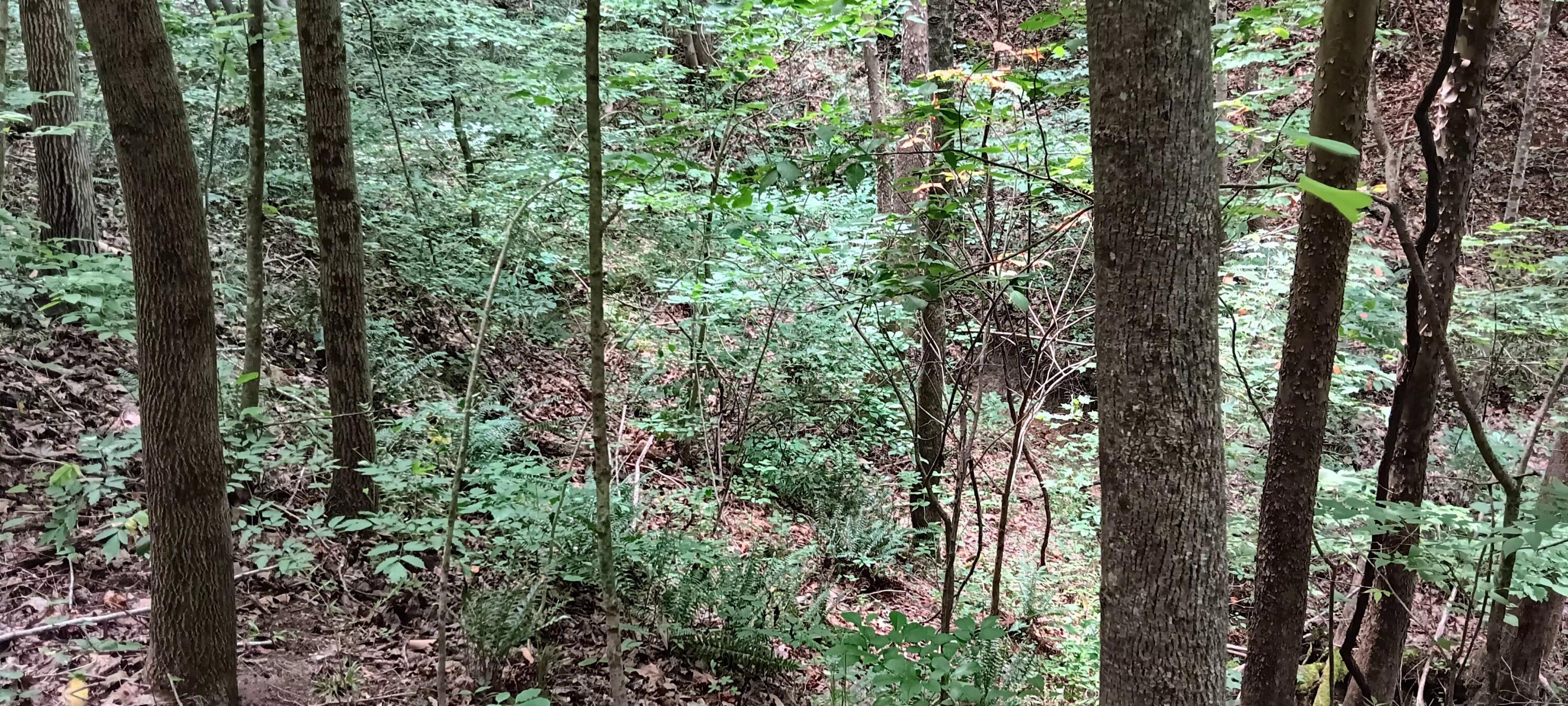 Orpheus Keystone Road #TRACT 5 CAVES AT KEYSTON, Jackson, Ohio image 30