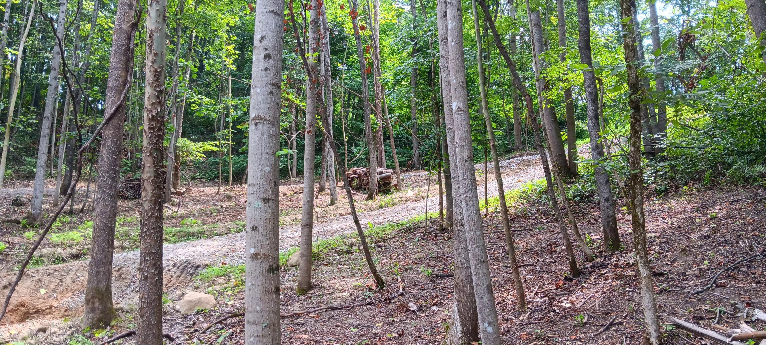 Orpheus Keystone Road #TRACT 5 CAVES AT KEYSTON, Jackson, Ohio image 6