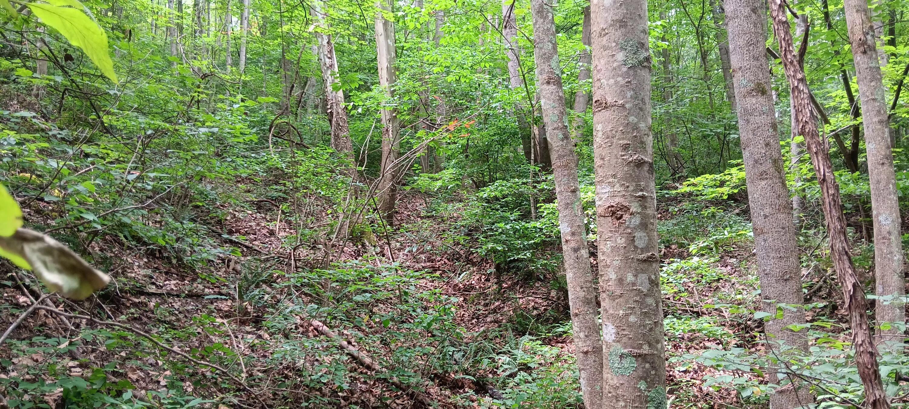 Orpheus Keystone Road #TRACT 5 CAVES AT KEYSTON, Jackson, Ohio image 24