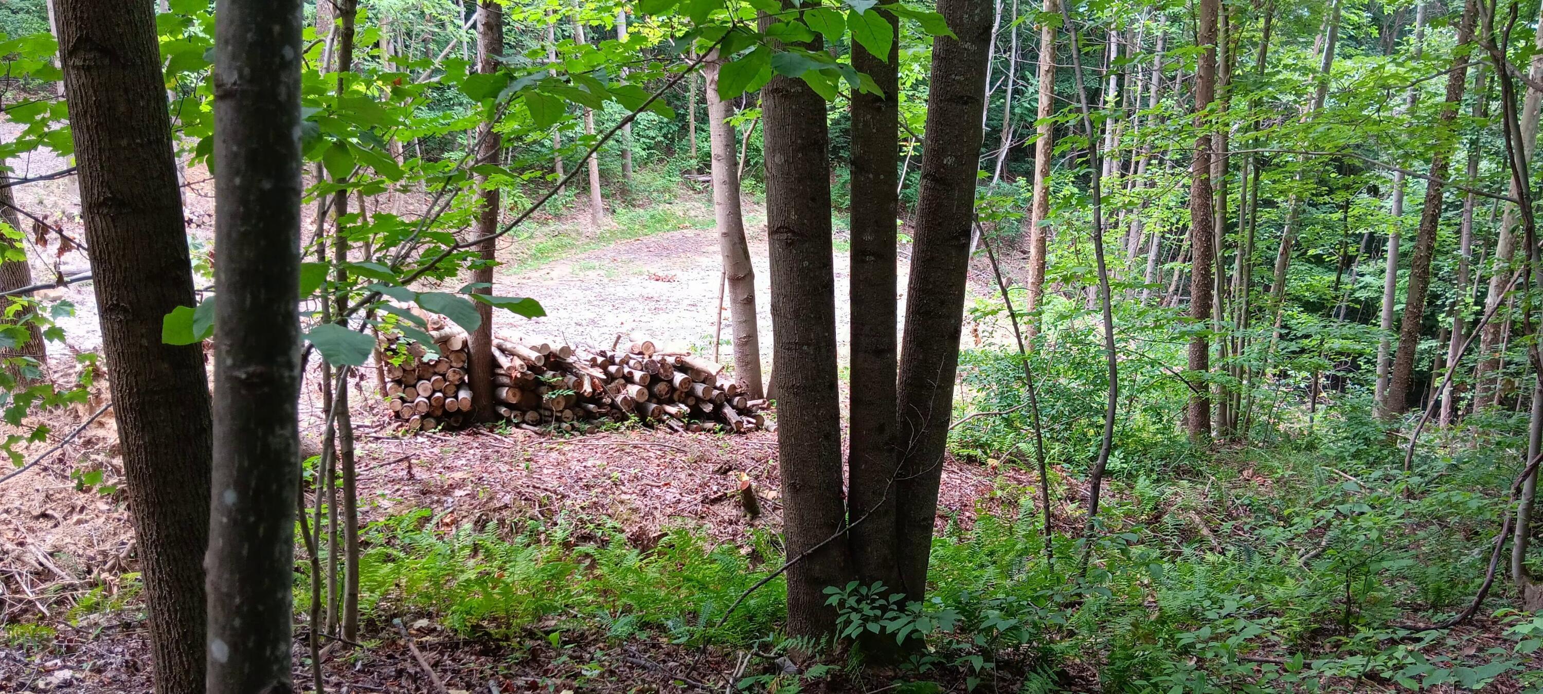 Orpheus Keystone Road #TRACT 5 CAVES AT KEYSTON, Jackson, Ohio image 16