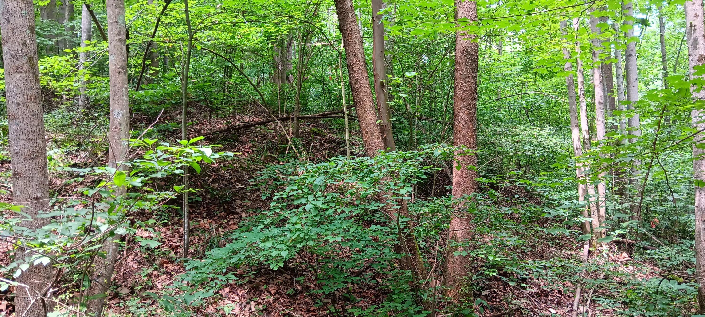 Orpheus Keystone Road #TRACT 5 CAVES AT KEYSTON, Jackson, Ohio image 25