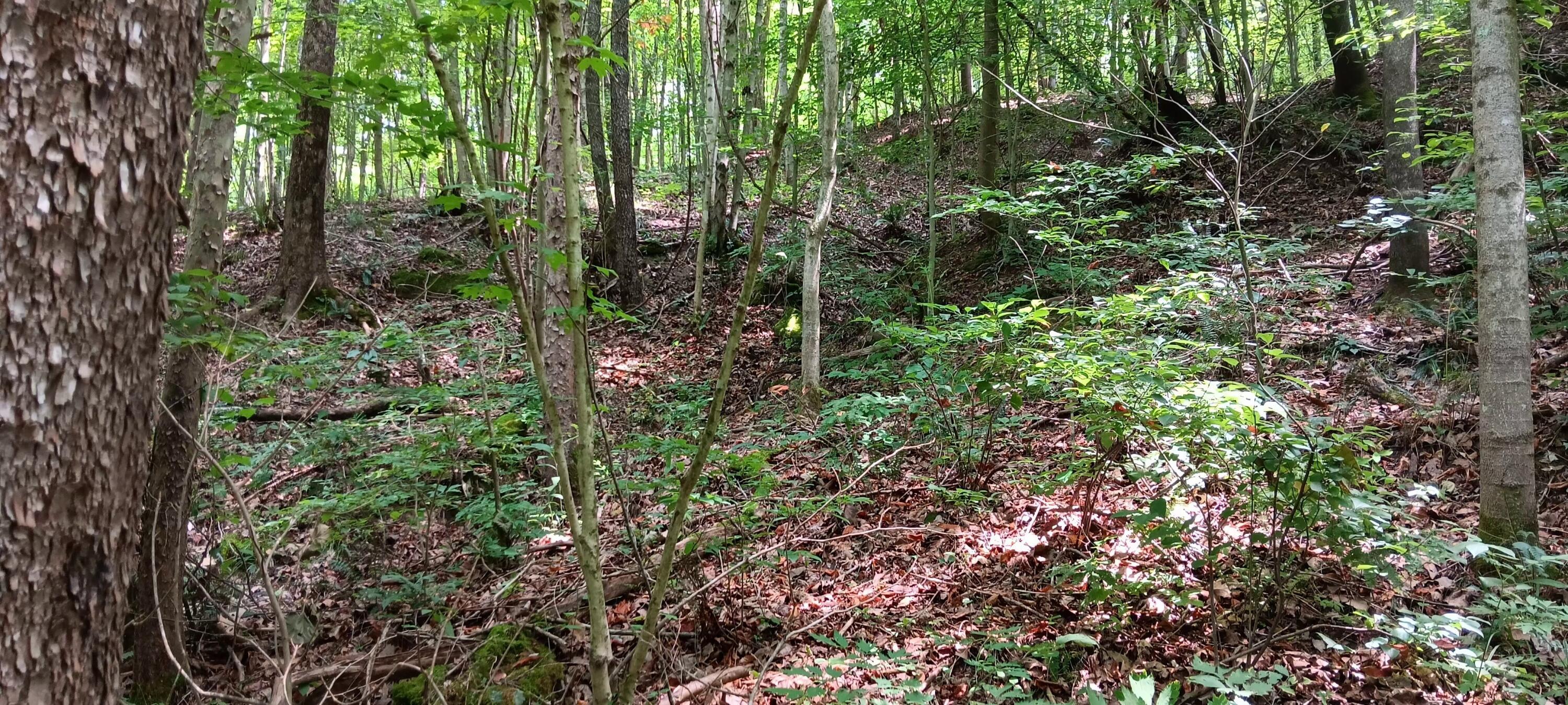 Orpheus Keystone Road #TRACT 5 CAVES AT KEYSTON, Jackson, Ohio image 28