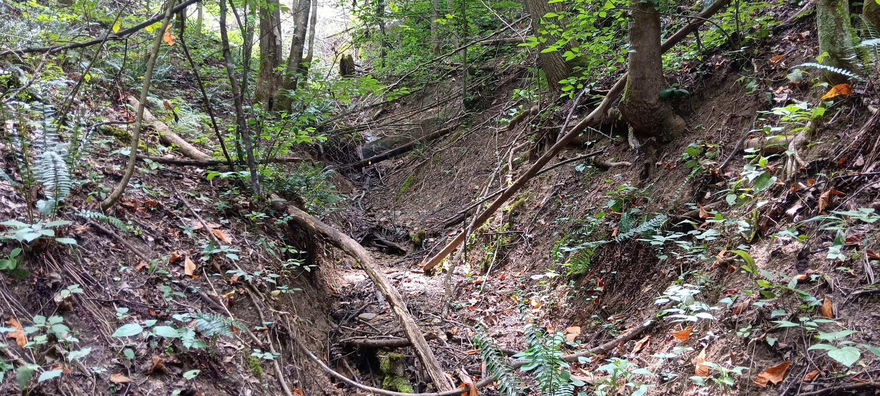 Orpheus Keystone Road #TRACT 5 CAVES AT KEYSTON, Jackson, Ohio image 22