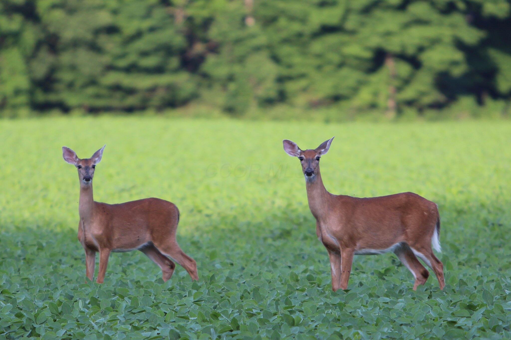 7700 Chatham Road NE