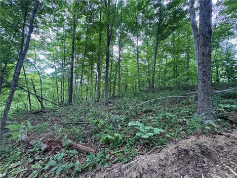 Vacant Land For Sale - 10+- Walker Hill Road #10.11<br/> Stockport, OH 43787