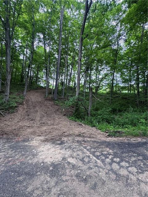 Vacant Land For Sale - 10+- Walker Hill Road<br/> Morgan County, Stockport, OH 43787
