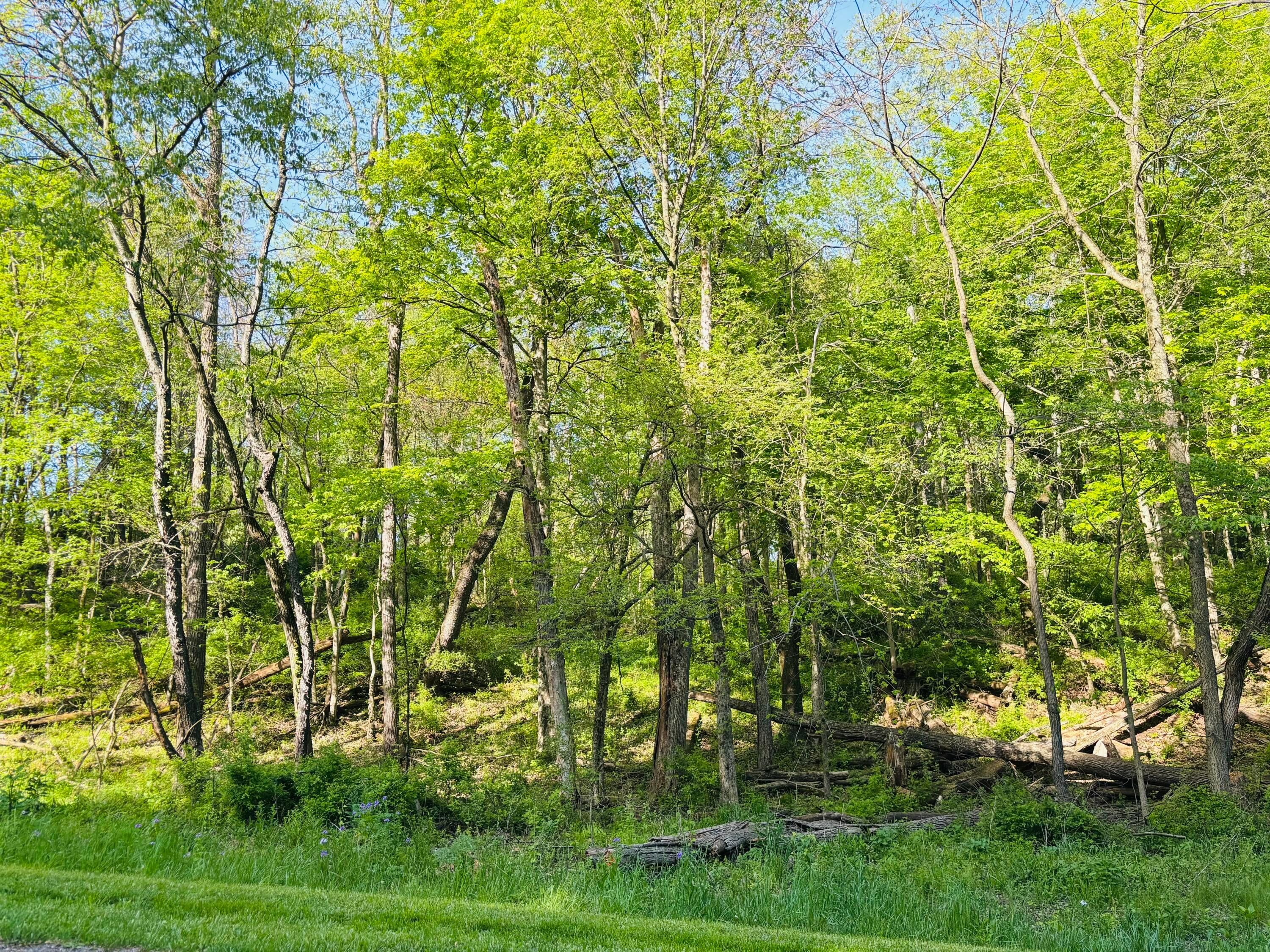 Floral Valley #106, Howard, Ohio image 4