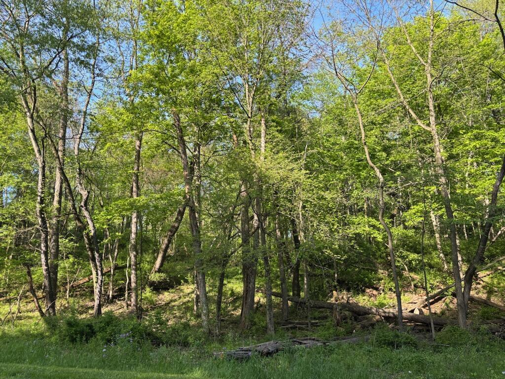 Floral Valley #106, Howard, Ohio image 3