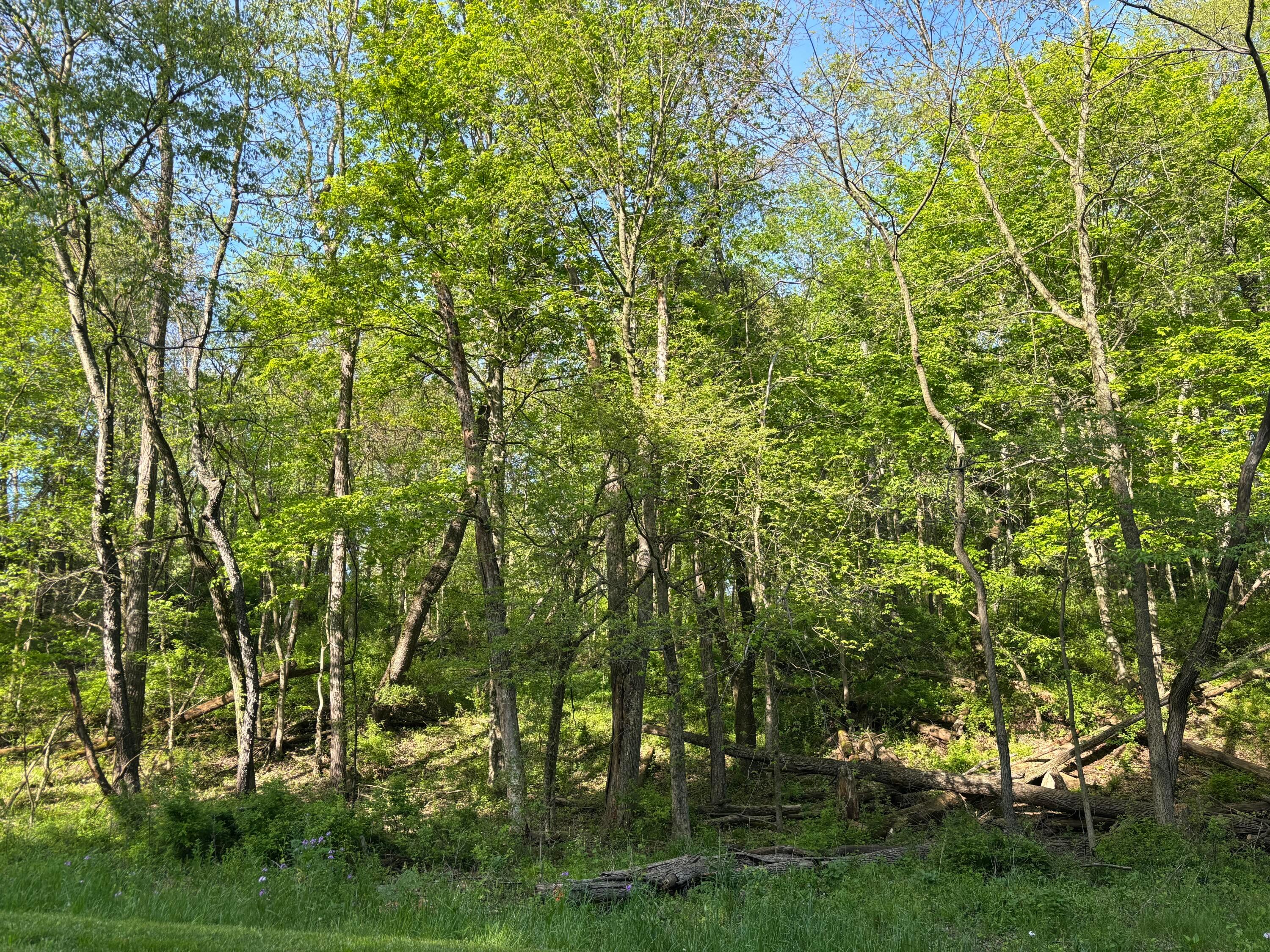 Floral Valley #106, Howard, Ohio image 5