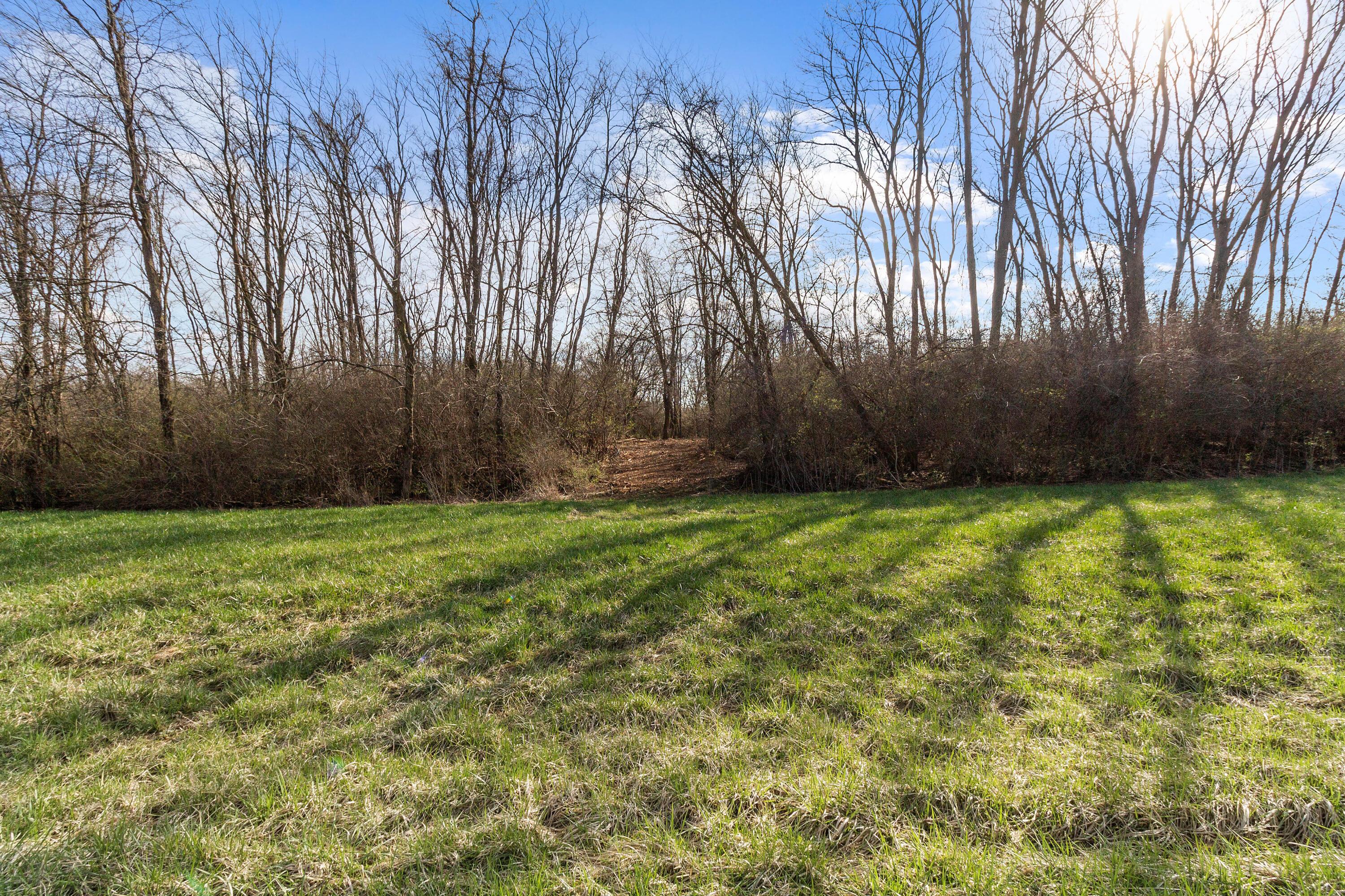 Cox Rd. Lot 9, North Lewisburg, Ohio image 3