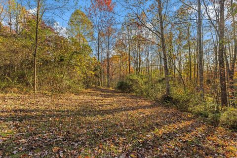 Tiny photo for 25903 Locust Grove Road, Creola, OH 45622 (MLS # 225046223)