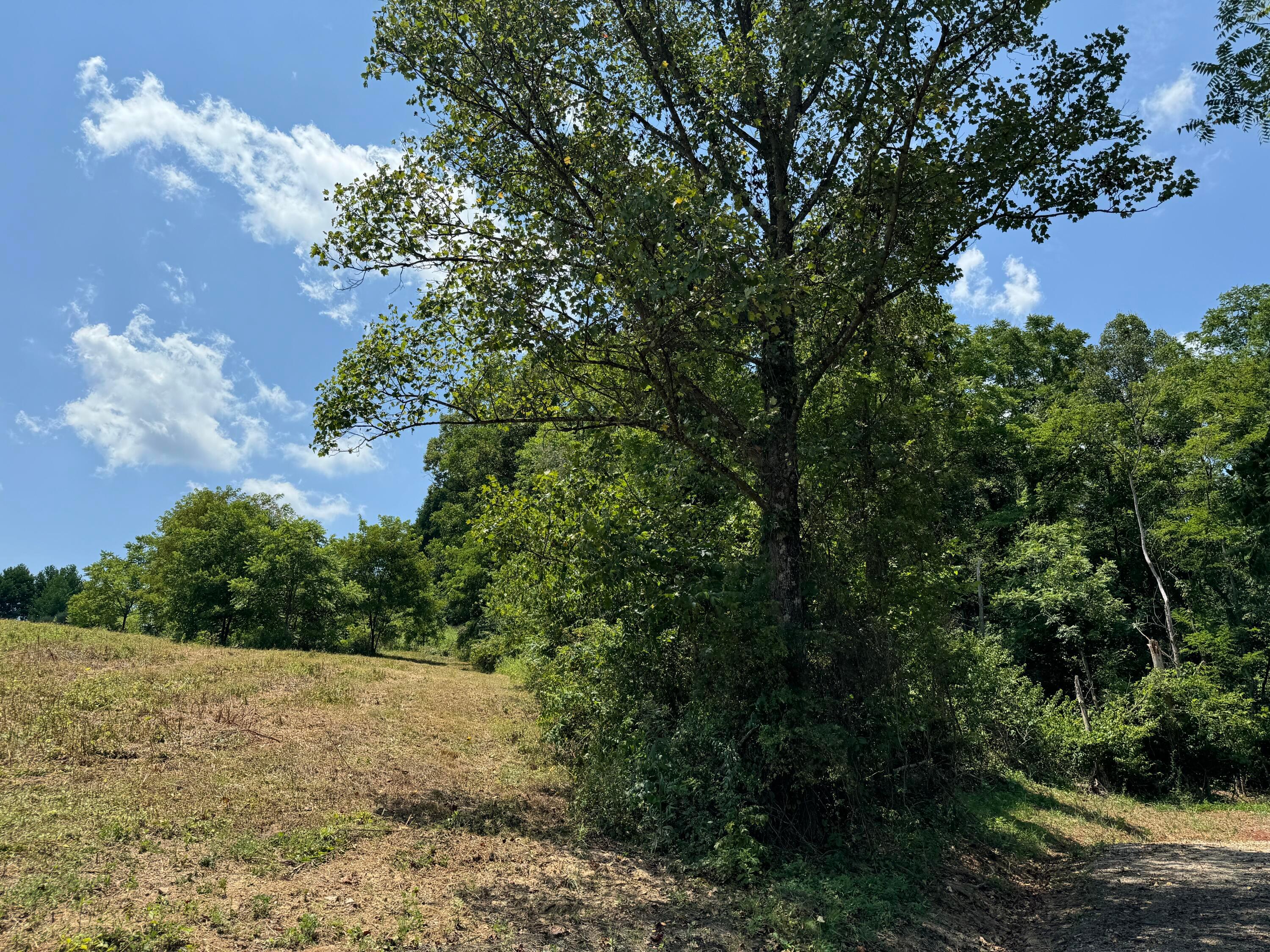 Sr 681 #TRACT 1 ALBANY WOODS, Albany, Ohio image 12