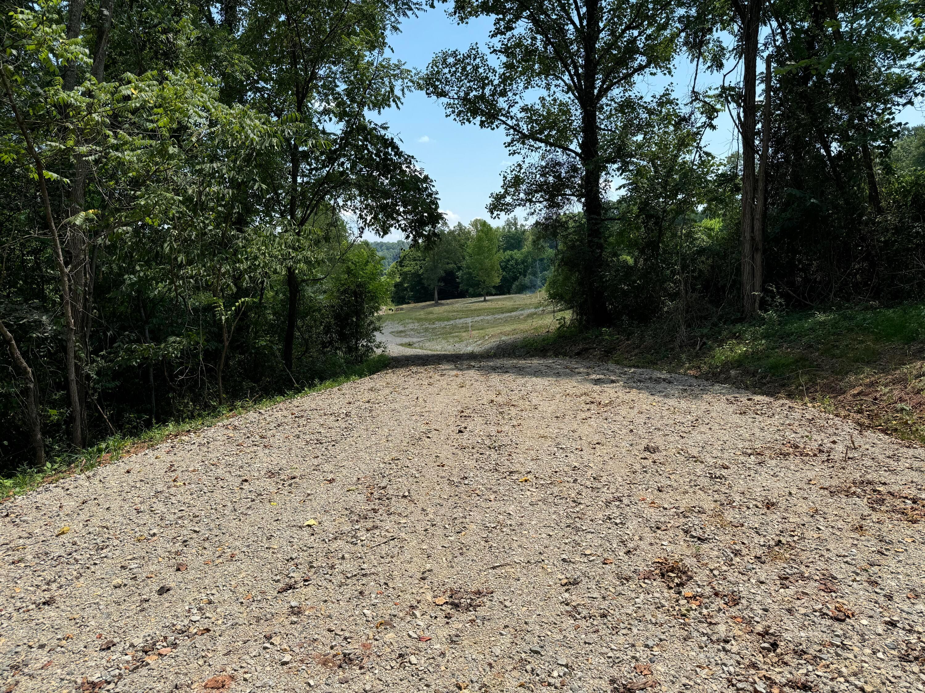 Sr 681 #TRACT 1 ALBANY WOODS, Albany, Ohio image 15