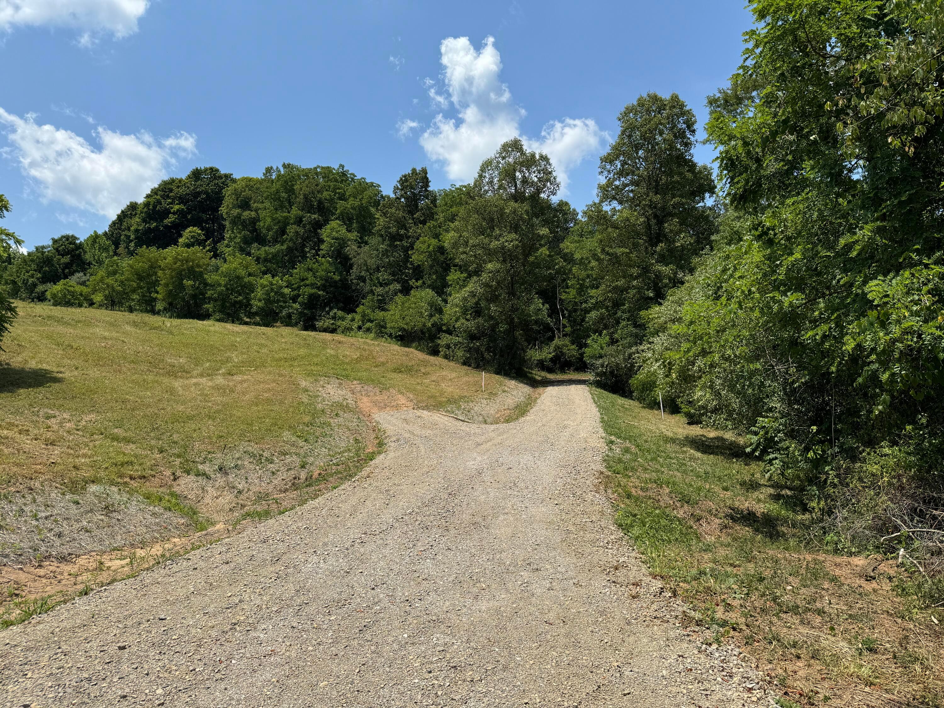 Sr 681 #TRACT 1 ALBANY WOODS, Albany, Ohio image 10