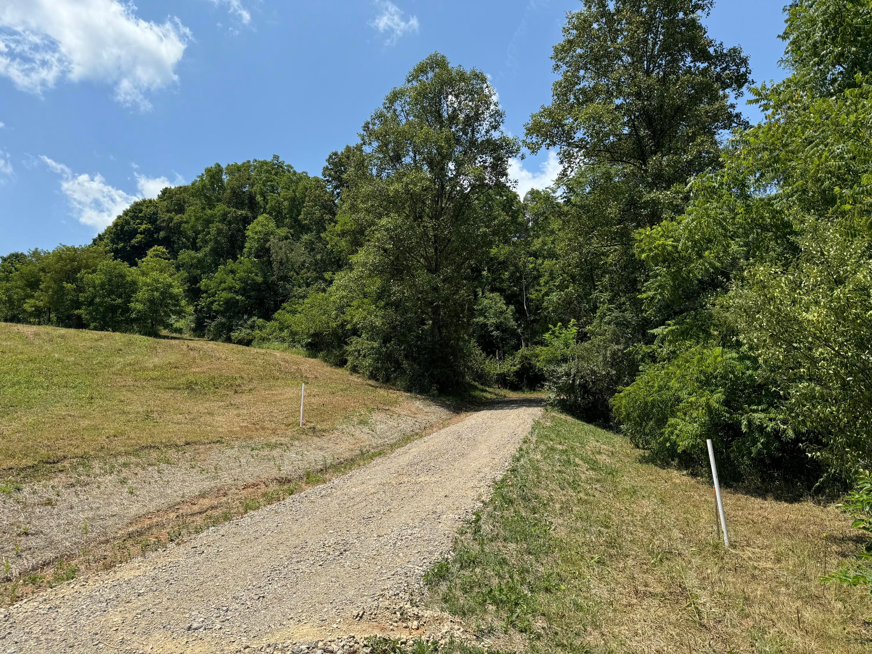 Sr 681 #TRACT 1 ALBANY WOODS, Albany, Ohio image 11