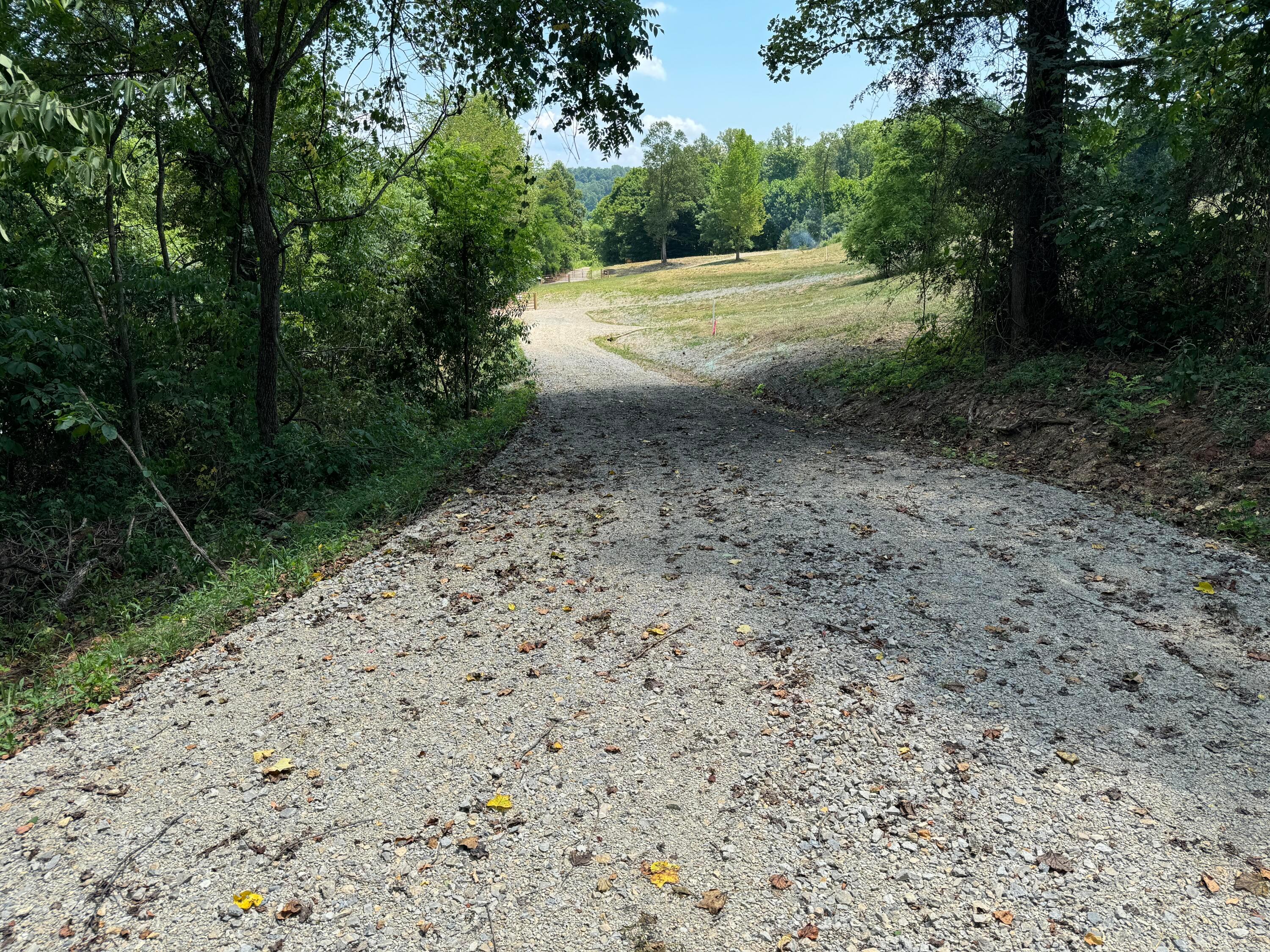 Sr 681 #TRACT 1 ALBANY WOODS, Albany, Ohio image 14