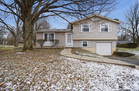 Photo of 5226 Spring Beauty Court, Columbus, OH 43230 (MLS # 225045671)